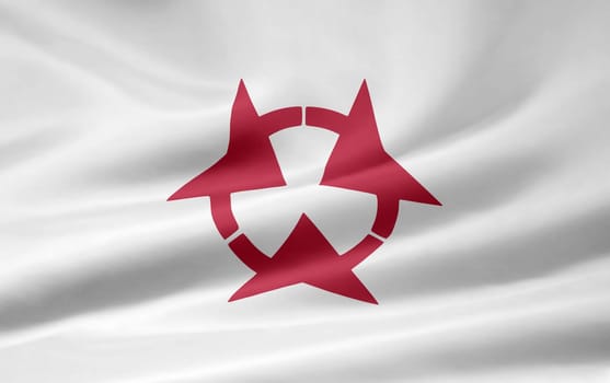 Flag of Oita - Japan