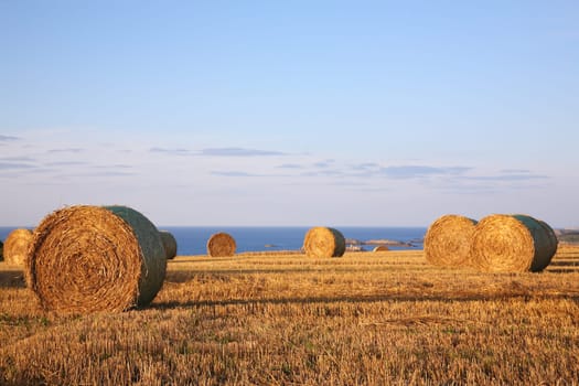 Straw bales