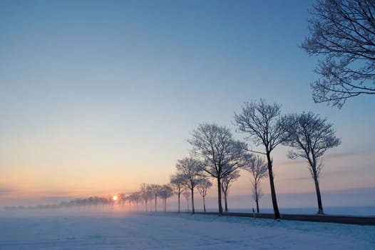 Winter Morning 2