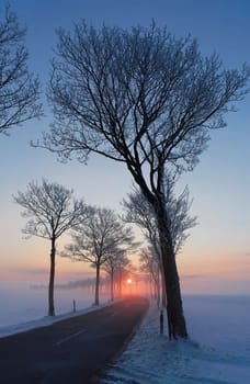 Winter Morning 1