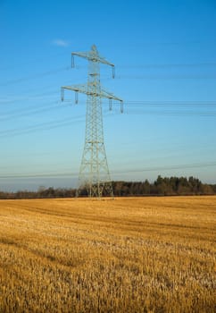 Electricity supplier