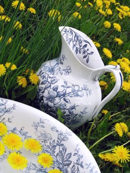 Classic wash basin and jug in meadow