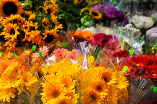 Flowers for sale