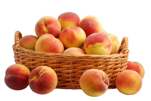 Basket full of fresh peaches