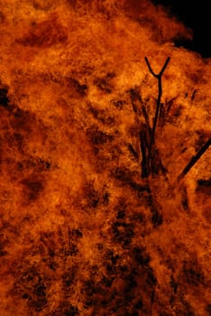 Fire Burn Brand