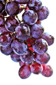 Red grapes