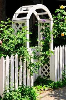 White arbor in a garden