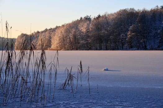 Winter Dreams