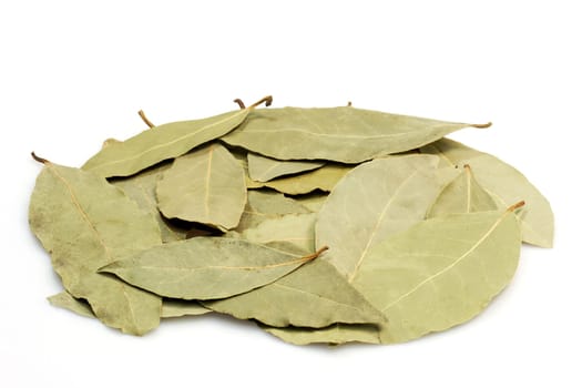 Laurel Leaves