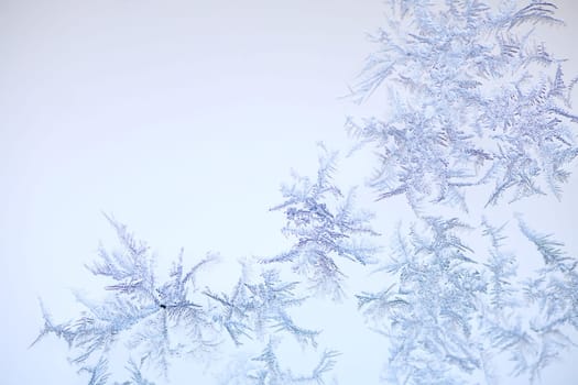 Ice Flowers