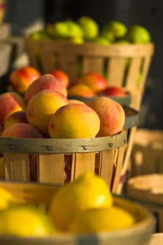 Fruit at Roadside Market