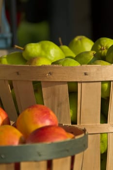 Fruit at Roadside Market