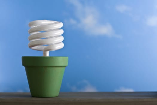 Single Compact Fluorescent Sprout Pot