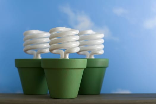 Three Compact Fluorescent Sprout Pots