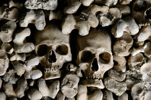 Human skulls