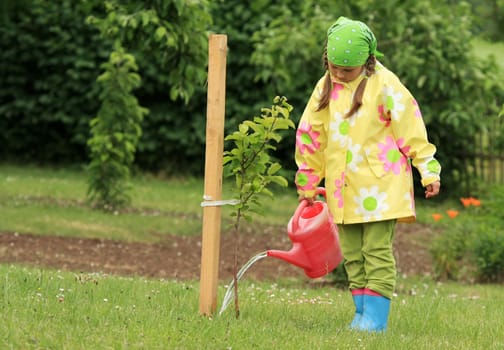Little girl watering apple tree