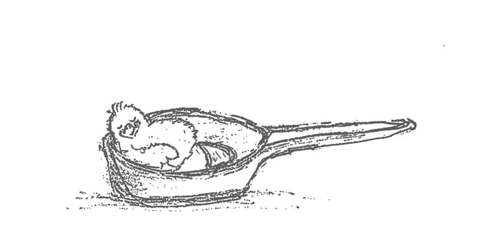 Chickenpan