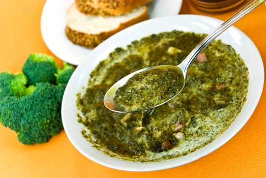 Savoy cabbage cream soup