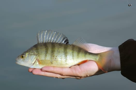 Fisherman just caught a fish