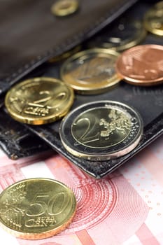 Few euro bills and euro coins in wallet