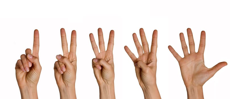 Counting hand from one to five
