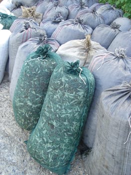 sacks with olives