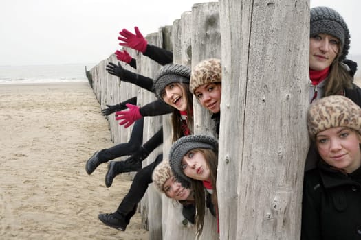 Groynes on the beach of Breskens