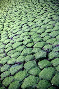 Dike reinforcement