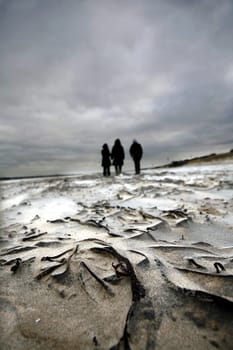 Walk on the beach of Breskens