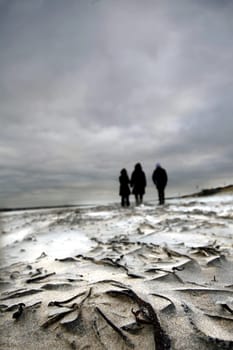 Walk on the beach of Breskens