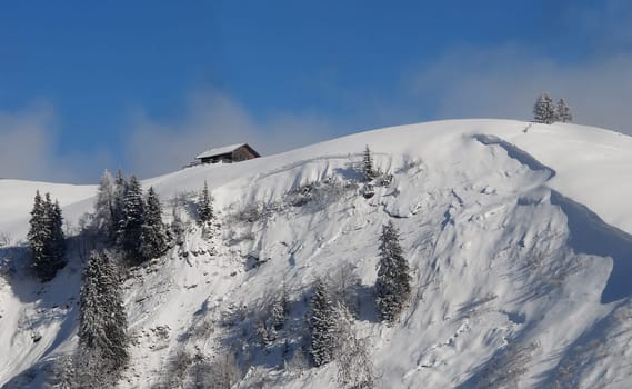 In deep snow