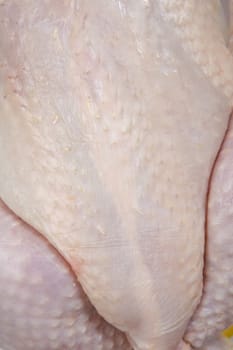 Skin of a raw chicken