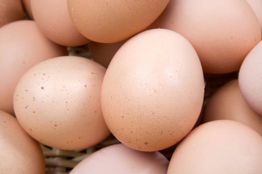 Photo of many brown hen eggs