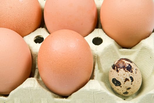 Differents eggs