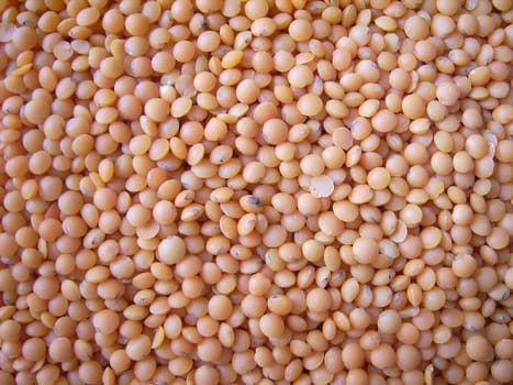 Red lentils