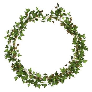 Ivy wreath