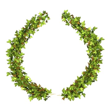 Ivy wreath