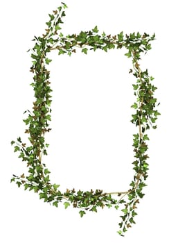 Ivy wreath
