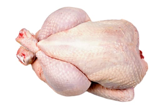 Skin of a raw chicken