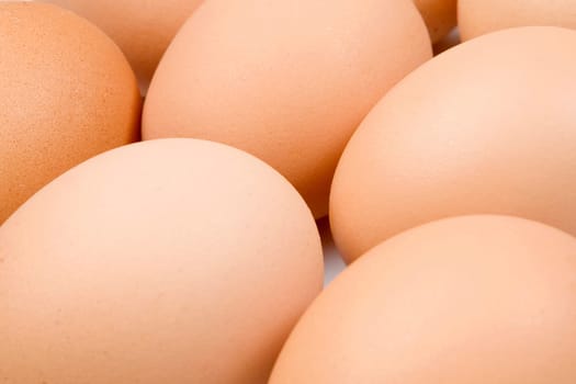 Photo of many brown hen eggs
