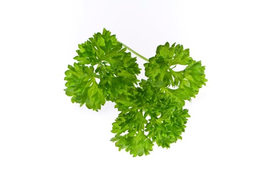 Parsley