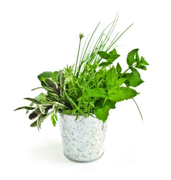 Fresh herbs