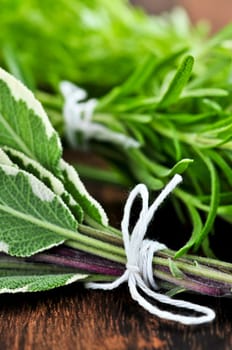 Bunches of fresh herbs