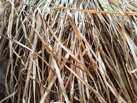 Dry grass, hay, straw laid in rows. Thatched wall background and texture. Tropical roofing on beach. Abstract pattern, frame, copy space and place for text