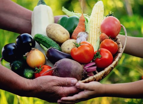 A woman and a boy are holding a basket with freshly picked organic vegetables. Selective focus