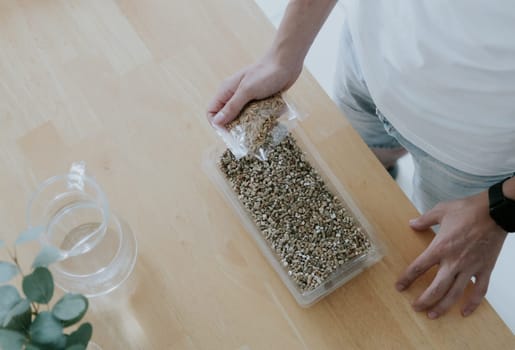 One young Caucasian unrecognizable man pours seeds from a transparent bag into a container with soil, standing in the kitchen at a wooden table, close-up top view.