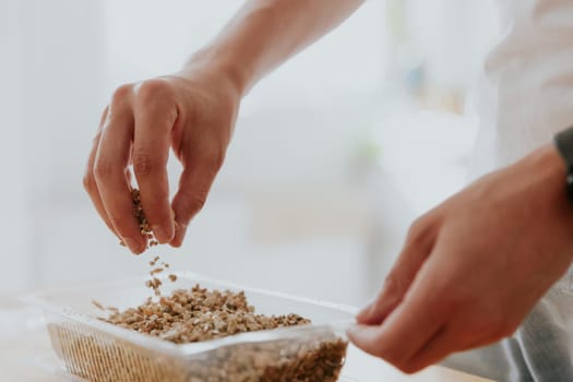 One young Caucasian unrecognizable man mixes and pours wheat seeds with soil into a container with one hand, standing in the kitchen at a wooden table, close-up side view.