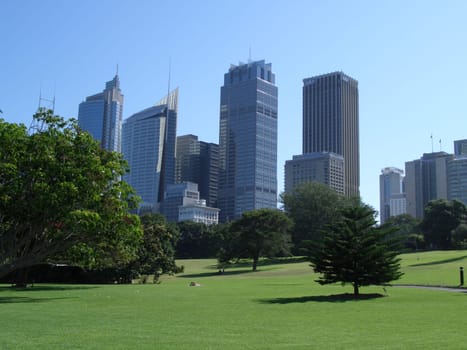 Botanical garden with skyscrapers