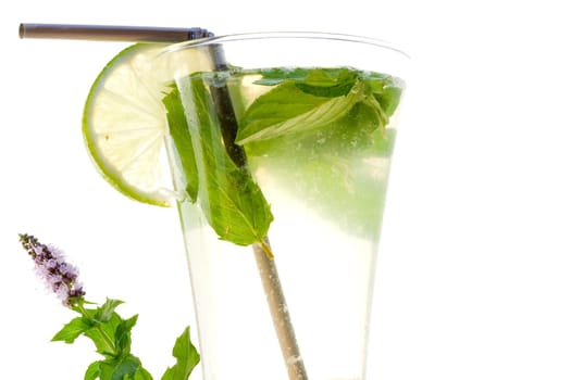 Mojito cocktail