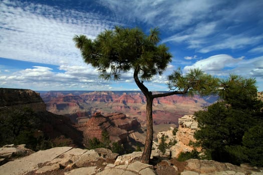 Grand Canyon 5 - 2007
